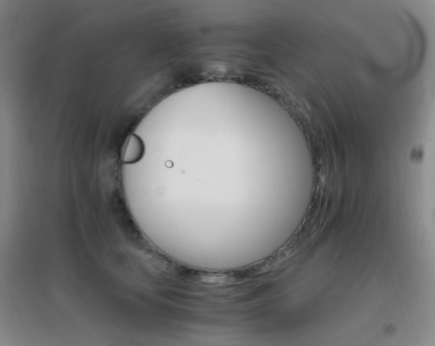 X0000096700659200802051412