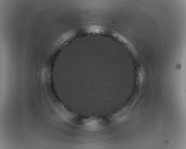 X0000096700661200802051412