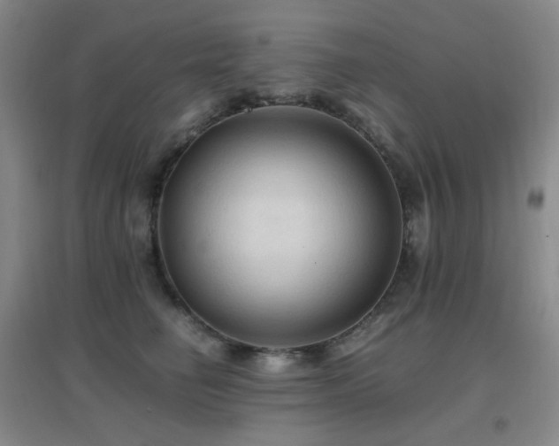 X0000096700662200802051412
