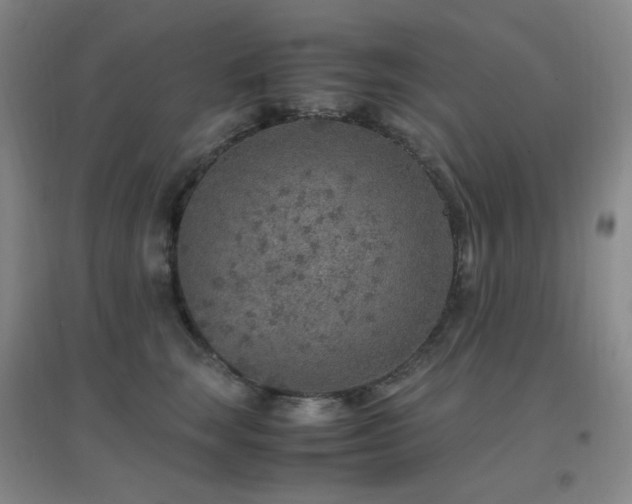 X0000096700663200802051412