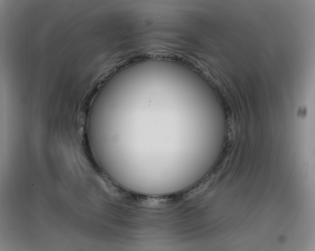 X0000096700664200802051412