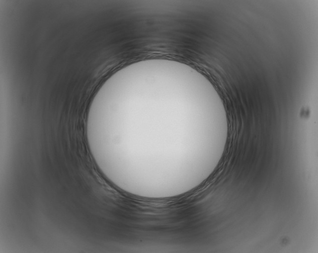 X0000096700665200802051412