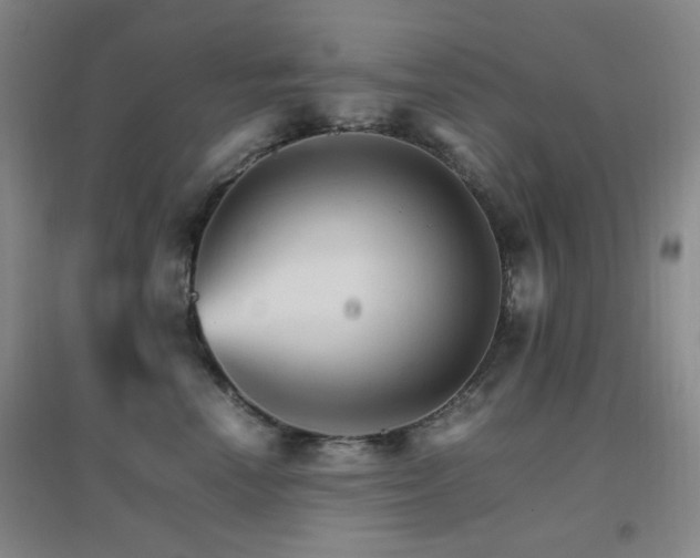 X0000096700666200802051412