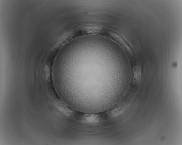 X0000096700667200802051412