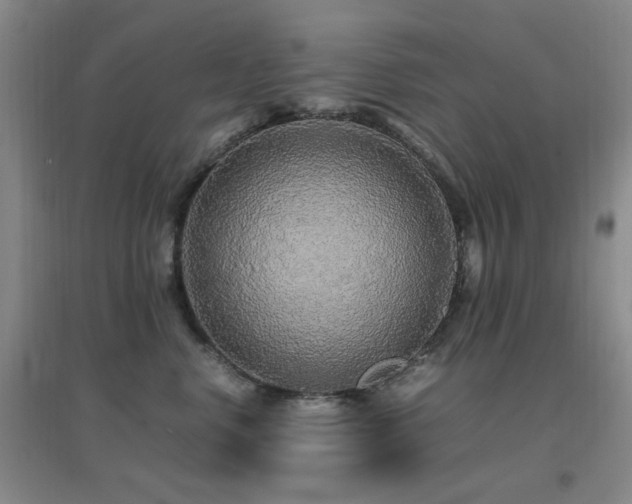 X0000096700668200802051412