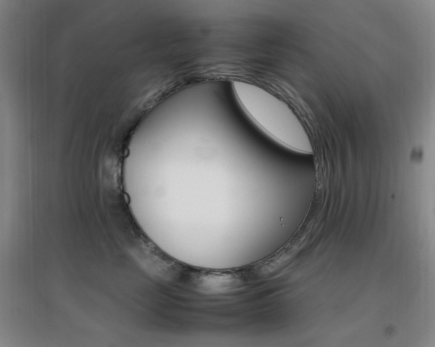 X0000096700669200802051412