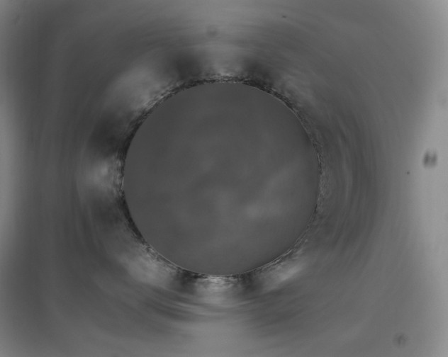 X0000096700672200802051412