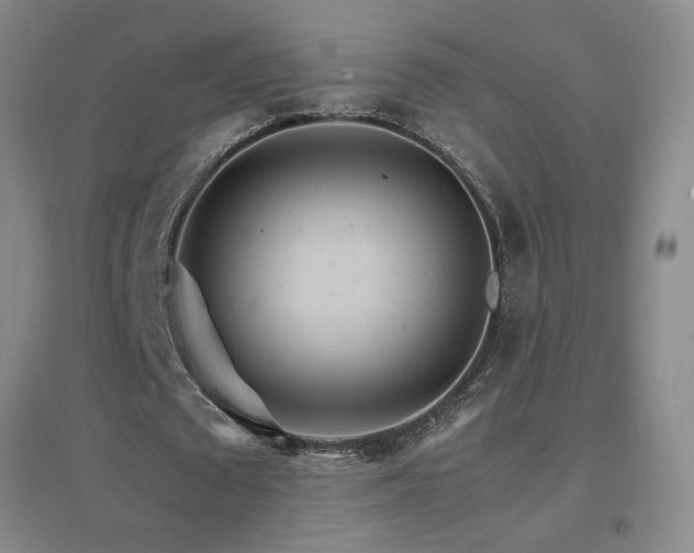 X0000096700673200802051411