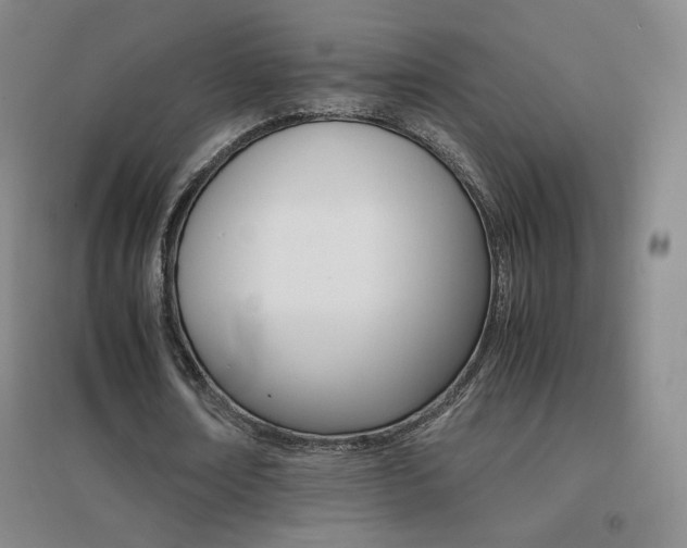 X0000096700674200802051411