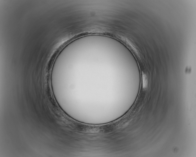 X0000096700675200802051411