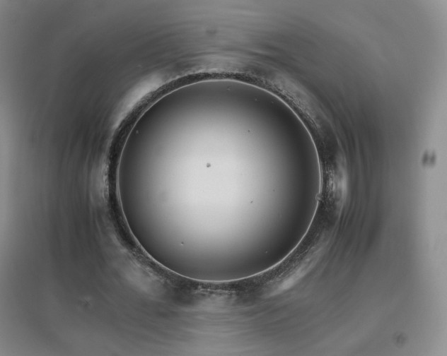X0000096700676200802051411