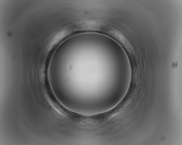 X0000096700677200802051411