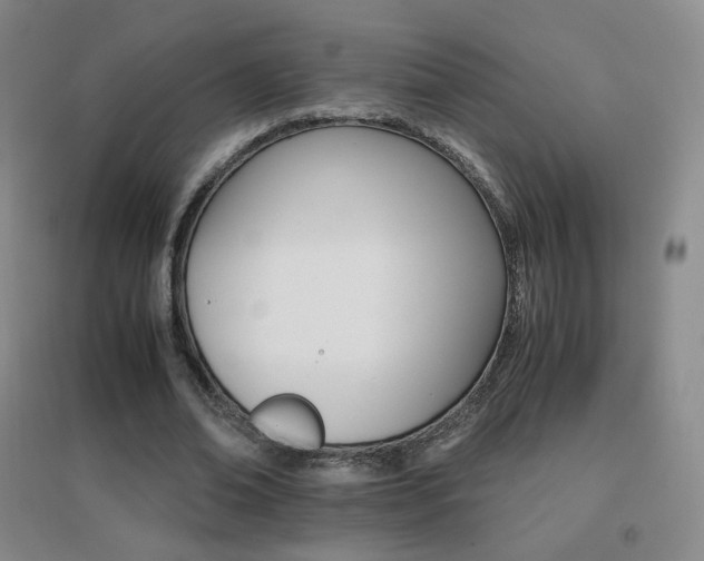 X0000096700678200802051411
