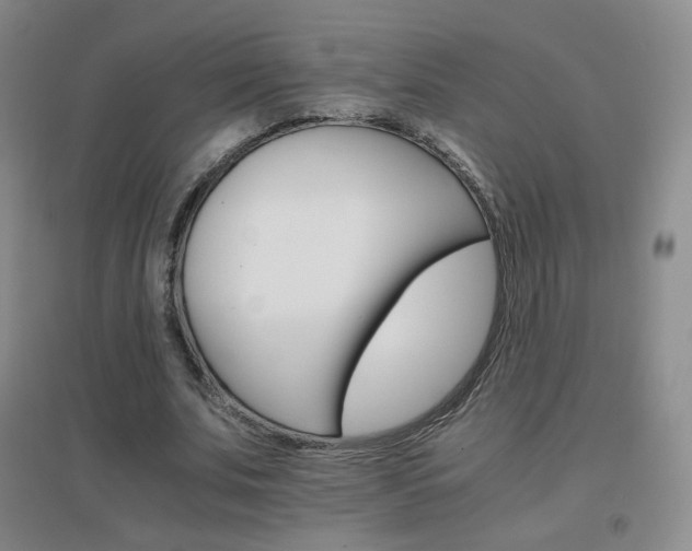 X0000096700679200802051411