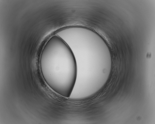 X0000096700680200802051411