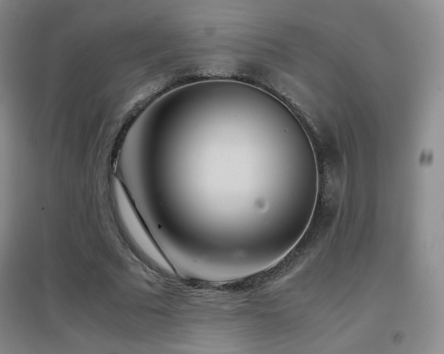 X0000096700681200802051411
