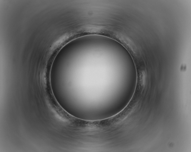X0000096700682200802051411