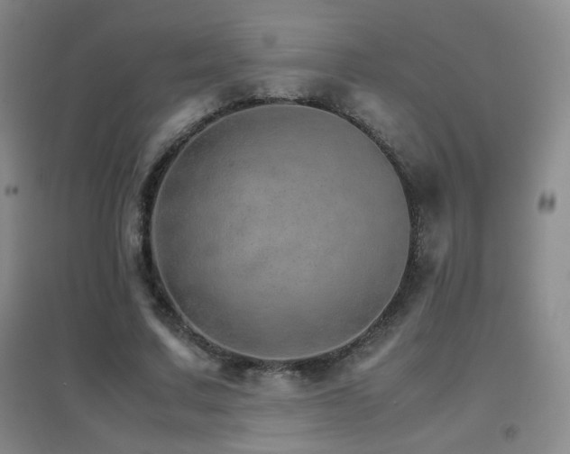 X0000096700683200802051411