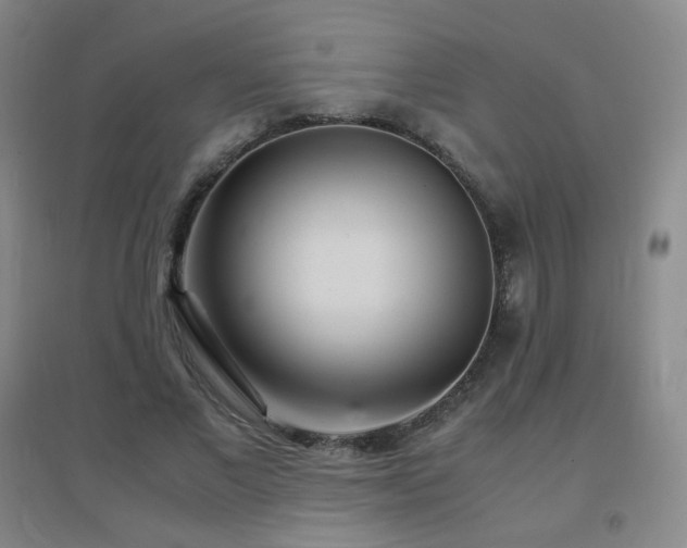 X0000096700685200802051411
