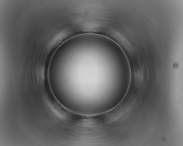 X0000096700686200802051411