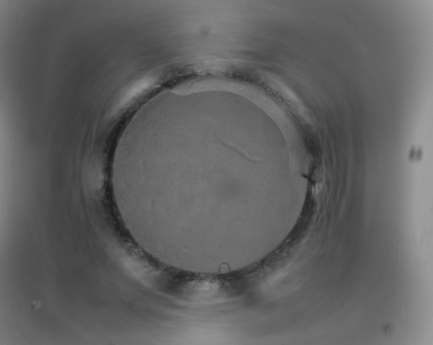 X0000096700687200802051411