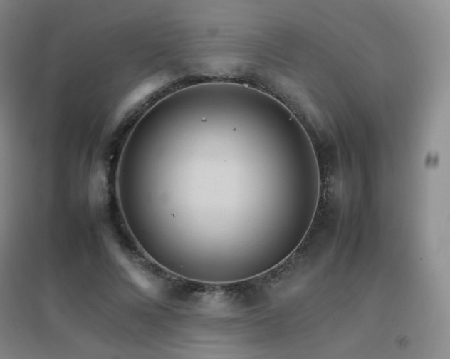 X0000096700688200802051411