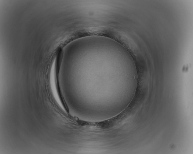 X0000096700689200802051411