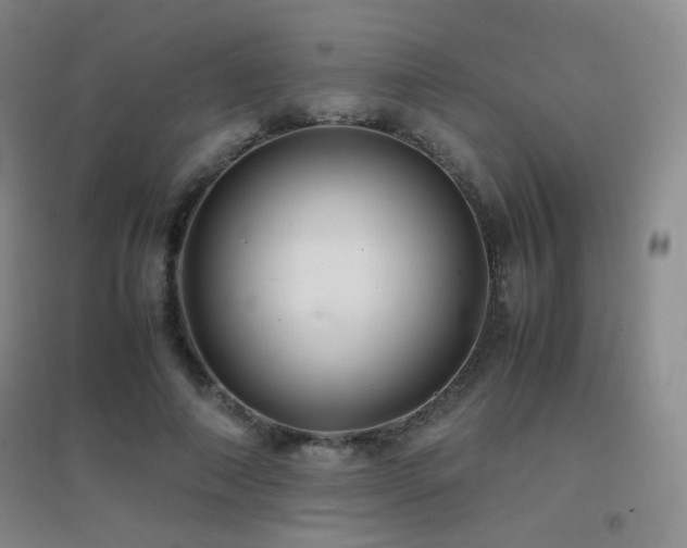 X0000096700690200802051411