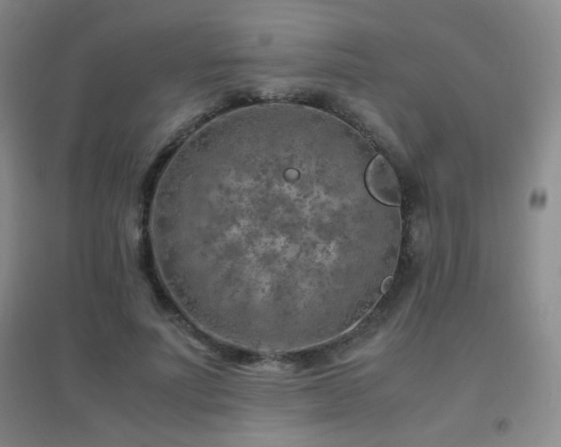 X0000096700691200802051411