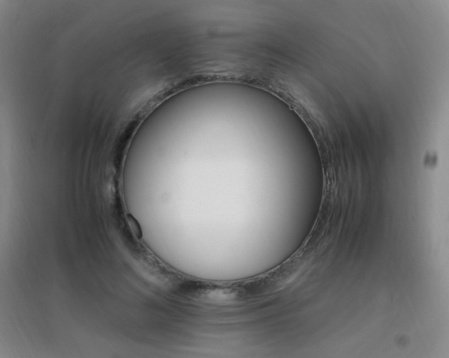 X0000096700692200802051411