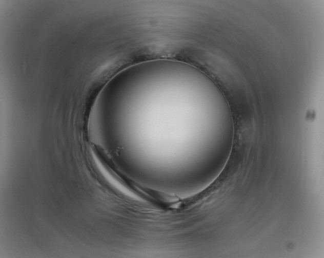 X0000096700693200802051411