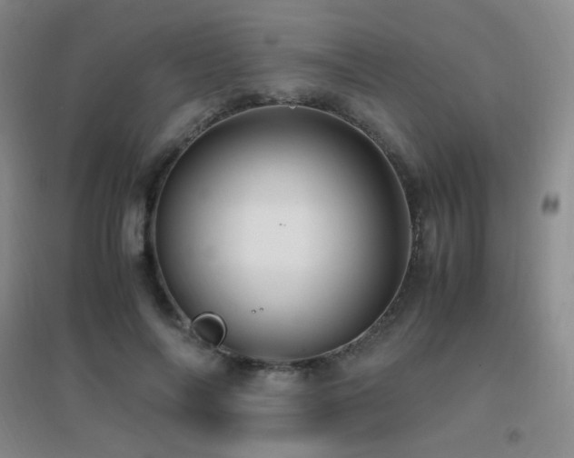 X0000096700694200802051411