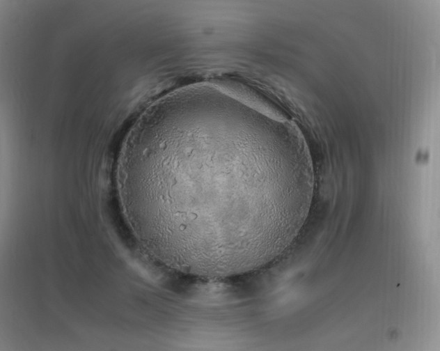 X0000096700695200802051411