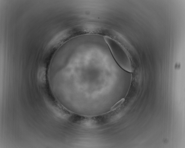 X0000096700696200802051411