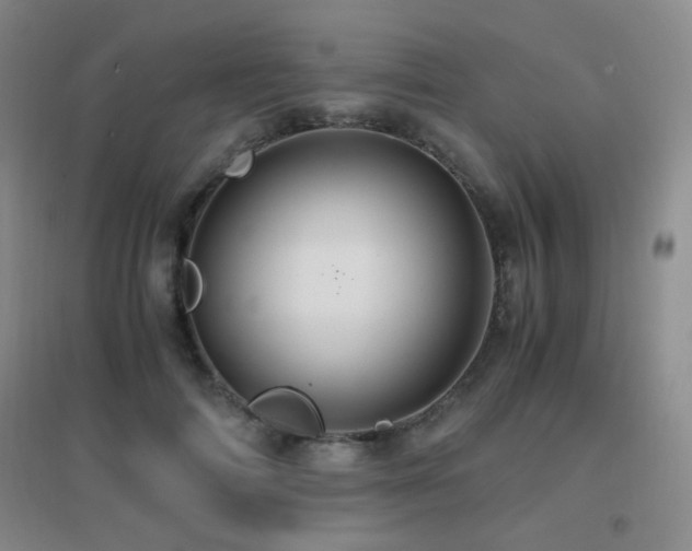X0000096700698200802051411