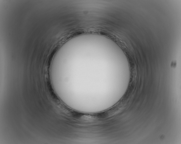 X0000096700699200802051411