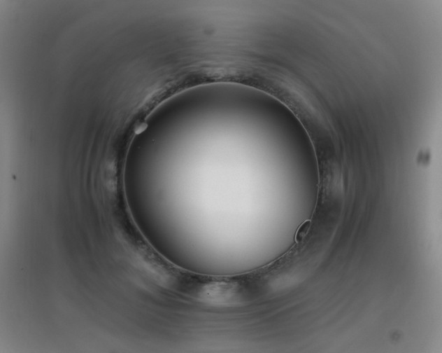 X0000096700700200802051411