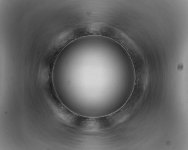 X0000096700702200802051411