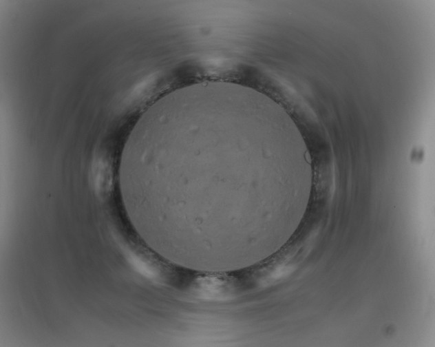 X0000096700703200802051411