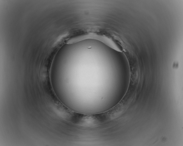 X0000096700704200802051411