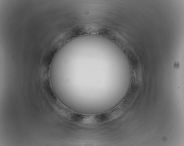 X0000096700705200802051411