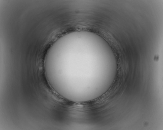 X0000096700706200802051411