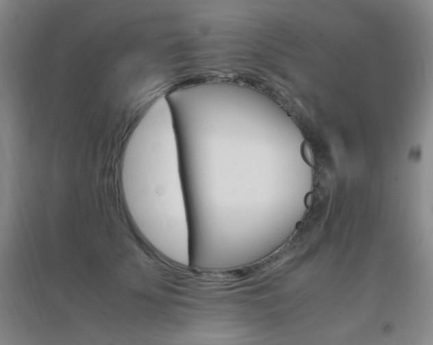 X0000096700707200802051411