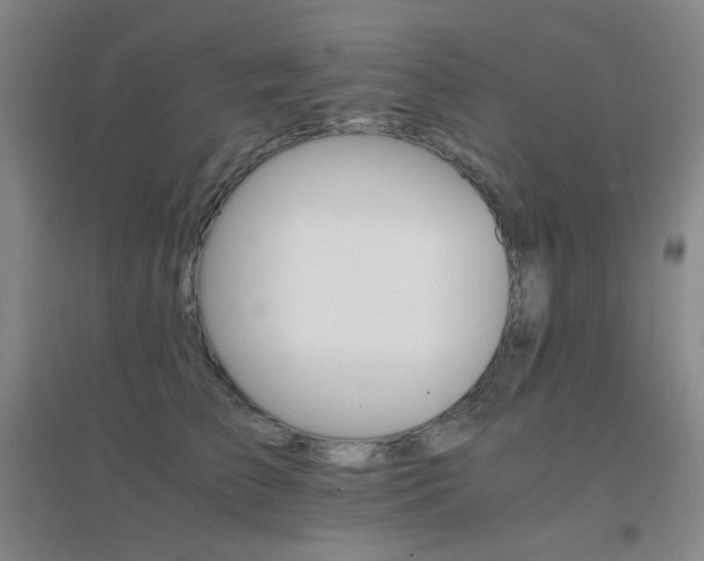 X0000096700709200802051411