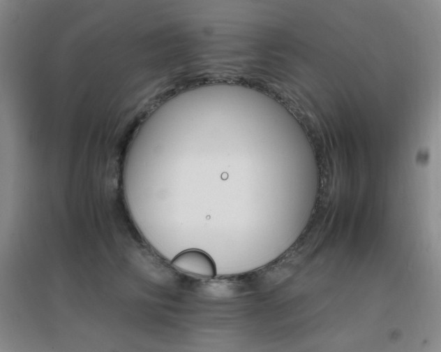 X0000096700710200802051411