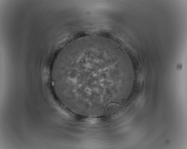 X0000096700711200802051411