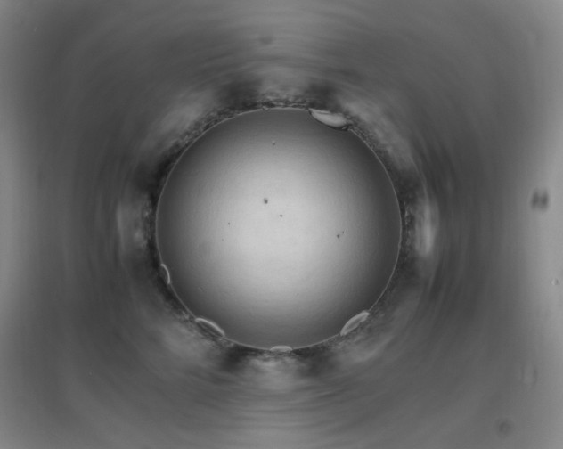 X0000096700712200802051411