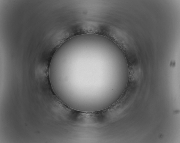 X0000096700713200802051411