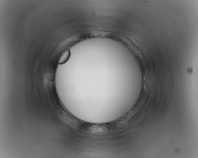 X0000096700714200802051411