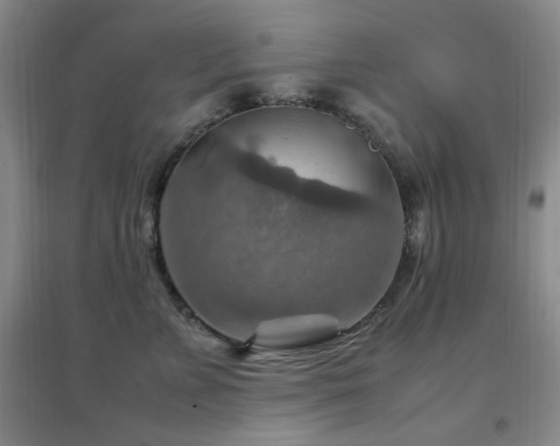 X0000096700715200802051411